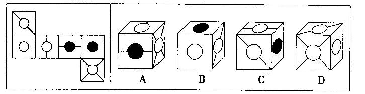 左边给定的是纸盒的外表面，下面哪一项能由它折叠而成？A.AB.BC.CD.D左边给定的是纸盒的外表面
