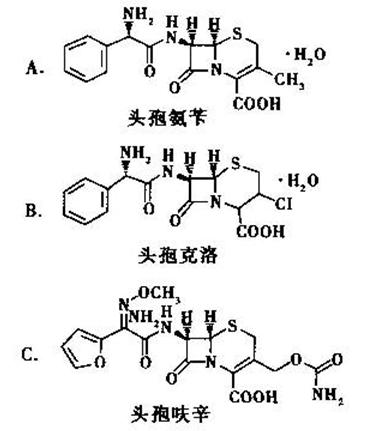 C一3位为氟原子，亲脂性强，口服吸收好的药物是A.AB.BC.CD.DC一3位为氟原子，亲脂性强，口