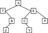 设有如图所示二叉树，对此二叉树前序遍历的结果为（）。 A.ZBTYCPXAB.AlBZXCYPC设有