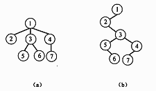 ● 若将某有序树 T 转换为二叉树 T1，则 T 中结点的后（根）序序列就是 T1 中结点的 （59
