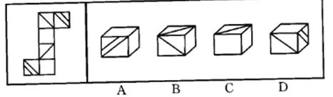 左边给定的是纸盒的外表面，下面哪一项能由它折叠而成？A.AB.BC.CD.D左边给定的是纸盒的外表面