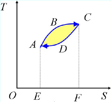 请以T为纵轴，S为横轴，作出理想气体卡诺循环的T－S图。并说明图上的每一块面积代表什么含义？请以T为