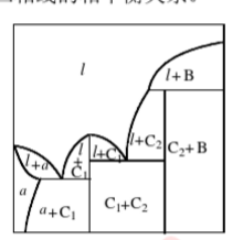 指出图中二组分凝聚系统相图中各部分中的相。     