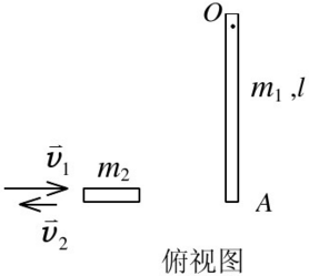 如图所示一质量为m1、长为l的均匀细棒，静止平放在滑动摩擦因数为μ的水平桌面上，它可绕通过其端点O、