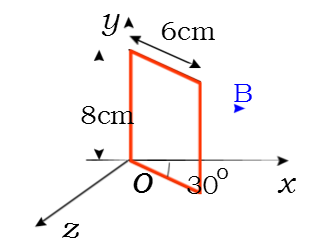 如图所示，一矩形线圈可绕y轴转动，线圈中载有电流0.10A，放在磁感应强度B=0.50T的均匀磁场中