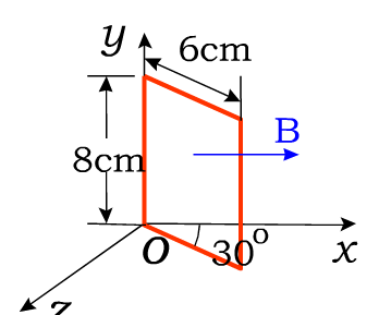 如图11－49所示，一矩形线圈可绕y轴转动，线圈中载有电流0.10A，放在磁感应强度B=0.50T的