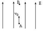 如图所示，电子（电荷量为－e，质量为m)以速度v0由A点沿着电场线射入电场强度为E的匀强电场中，到达