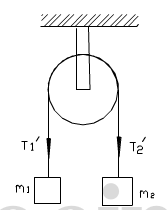 如图所示，一轻绳跨过一轴承光滑的定滑轮，绳的两端分别悬有质量为m1和m2的物体（m1＜m2)。滑轮可