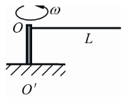 一条质量为M并且分布均匀的绳子，长度为l0，一端固定在转轴上，并以恒定角速度ω在水平面上旋转．设转动