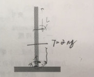 一质量均匀柔软的绳竖直地悬挂着，绳的下端刚好触到水平桌面上。如果把绳的上端放开，绳将落在桌面上。试证