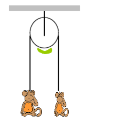 如图所示，一轻绳跨过光滑的定滑轮，绳的两端等高处分别有一个胖猴和瘦猴，两猴身高相同。胖猴使劲沿着绳向