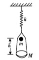 一质量为M的盘子系于竖直悬挂的轻弹簧下端，弹簧的劲度系数为k（如图所示)．现有一质量为m的物体自一质