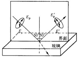 一个右旋圆偏振光在50°角下入射到空气—玻璃界面（玻璃折射率n=1.5)，如图2.8所示，试确定反射