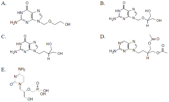 在下列开环的核苷类抗病毒药物中，哪个为前体药物