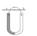 如图所示，一通电直导线，放在马蹄形永久磁铁的两磁极上方。则在磁场作用下，导线将______。 