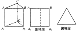 如图，水平放置的三棱柱的侧棱长和底面边长均为2，且侧棱AA1底面A1B1C1，主视图是边长为2的正方