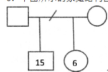 下图所示的家庭结构图表示的意思是（）。A.父母双方目前是离婚关系B.母亲和儿子居住在一下图所示的家庭