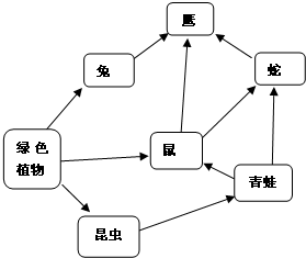 食物链举例子如图是一个食物网，根据图回答问题（1）生产者是：______；消费者是______、__