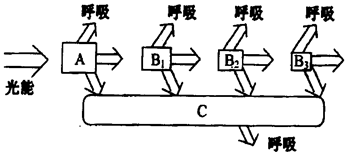 c2c模式是什么意思啊如图是生态系统中能量流动的模式图，请据图回答：(1)生态系统中能量的源头是  