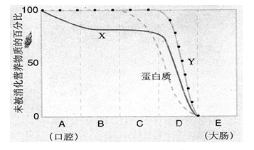 据下图回答问题：（1）图中          曲线表示的是淀粉的消化过程。（2）从图中可以看到淀粉的