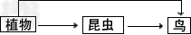 能量传递效率的计算下图所示的是一个食物网(能量传递效率按10%计算)，下列叙述中正确的是[     