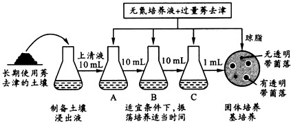 由表推斷,控制該耐藥性狀的基因位於_______________________.