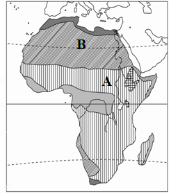 读“非洲气候类型分布图”，回答问题。（6分）⑴非洲分布面积最广的两种气候类型是A          
