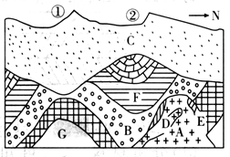 该图为某地地质剖面图，其中C为沉积物，B、F、G为沉积岩，A、D为不同时期的岩浆岩，E为变质岩。据此