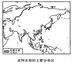 读“亚洲水稻主要分布区图”，回答题。小题1:亚洲发展水稻种植业的优势条件是（）A．大面积可供开发的土