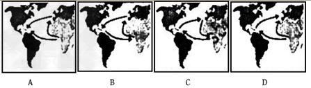 三角贸易示意图下图中有关大西洋上的“三角贸易”的航程示意图，正确的是[     ]A．AB．BC．C
