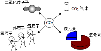 如图所示，小林对二氧化碳化学式表示的意义有如下四种理解，你认为不正确的是（）A．表示二氧化碳气体B．