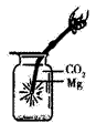 下列实验操作示意图所示的实验操作正确的是 [ ]A．加热结晶水合物 B．镁条在二氧化碳中燃烧 C．制