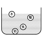 如图所示，四个外形相同的铅球、铁球、铝球、木球静止在水中，其中能判断是实心还是空心的是()