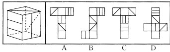 左边给定的是纸盒的立体图，下面哪一项是它的平面图？ A．B．C．D．左边给定的是纸盒的立体图，下面哪