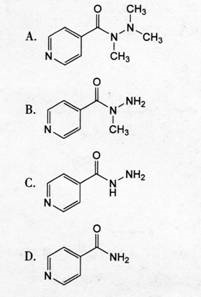 抗结核药物异烟肼结构中含有未取代的酰肼基，体内易发生N一乙酰化生成无活性代谢产物，根据此结构特点推测