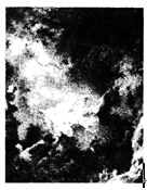 如右图，弗拉戈纳尔作品《秋千》的艺术风格属于（）A.新古典主义风格B.现实主义风格C.洛可可风格D.