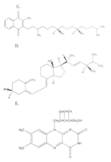 维生素K1的化学结构为A.AB.BC.CD.DE.E维生素K1的化学结构为A.AB.BC.CD.DE