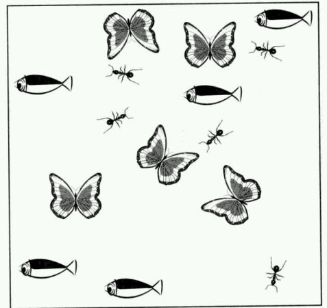 用3条直线将图分5个区，每个区都要有1只蚂蚁，1条鱼，一只蝴蝶。