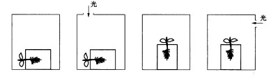 将培植在琼脂培养基内的蚕豆幼苗分别放入4个暗箱中一段时间（如下图，从左到右分别为：①、②、③和④)，