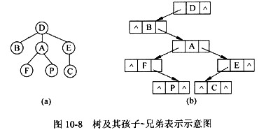 阅读以下说明、图和C代码。 【说明】 一般的树结构常采用孩子－兄弟表示法表示，即用二叉链表作树的存阅