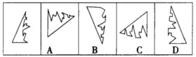 左面的图形与右面四个图形中的____图形刚好构成一个三角形。A．B．C．D．左面的图形与右面四个图形