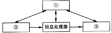 信息系统的概念结构如下图所示，正确的名称顺序是(24)。