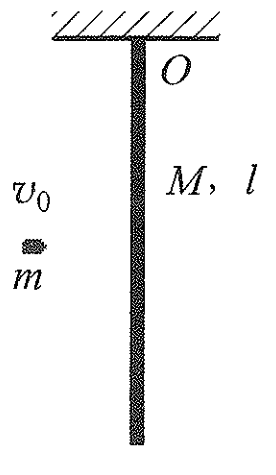 如图所示，一长为l、质量为M的匀质木棒可绕过其一端的水平光滑轴O在竖直平面内自由转动，开始时，棒竖直