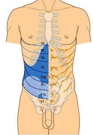 如图，腰麻平面达T6，则其交感阻滞平面至少达（）