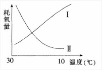 如图为Ⅰ和Ⅱ两种生物在温度变化时消耗氧气量的变化情况，这两种生物在生态系统成分中最可能的情况是（）。