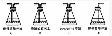 两个生物兴趣小组分别进行了如下的实验。请分析作答：	（1）甲小组想探究酵母菌是否在有氧、无氧条件下均