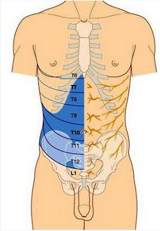 如图，腰麻平面达T6，则其交感阻滞平面至少达（）。