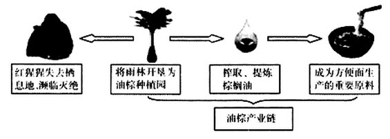 东南亚的热带雨林被人类大规模开发利用。下图为东南亚地区油棕产业链示意图。读图，回答第下题。依据资料推