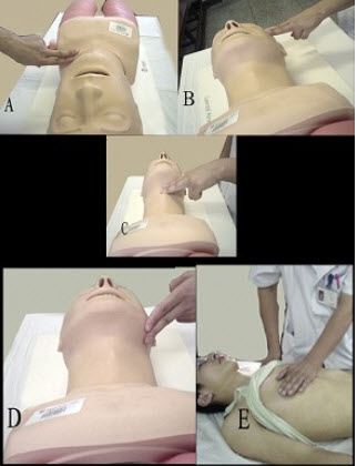 心跳呼吸骤停患者正确触摸颈动脉的手法是()