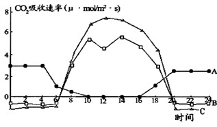 如图为A、B、C三类植物在晴朗夏季的光合作用日变化曲线，请据图分析并回答：		（1）A植物在夜间能产